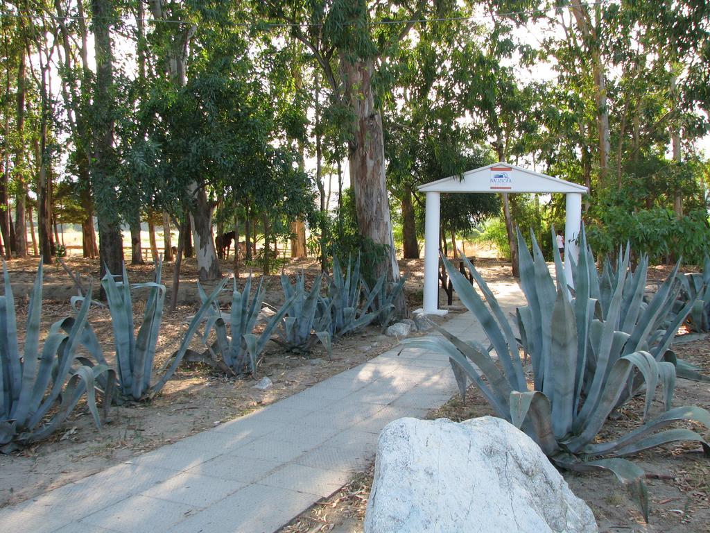 Nausicaa Village 산탄드레아 아포스톨로 델로 이오니오 외부 사진