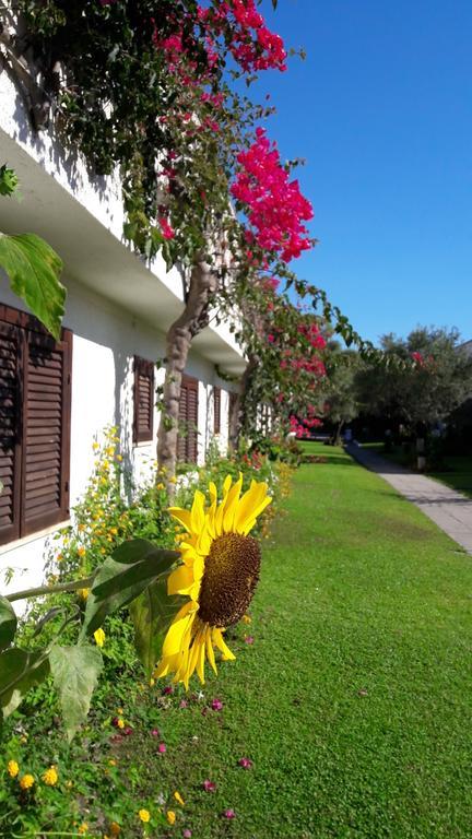 Nausicaa Village 산탄드레아 아포스톨로 델로 이오니오 외부 사진